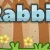 RabbiruN